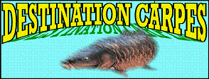 Team Destination carpes