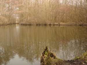 Le Mary Lou, Les Lacs de Laives